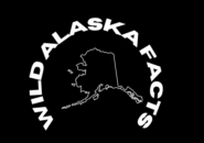Wild Alaska Facts